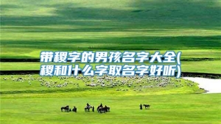 带稷字的男孩名字大全(稷和什么字取名字好听)