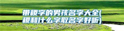 带稷字的男孩名字大全(稷和什么字取名字好听)