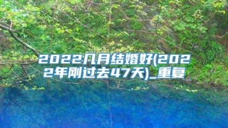 2022几月结婚好(2022年刚过去47天)_重复