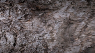 2021男孩新潮名字(2021新潮的男婴儿小名)_重复