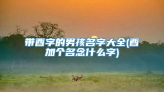 带酉字的男孩名字大全(酉加个名念什么字)