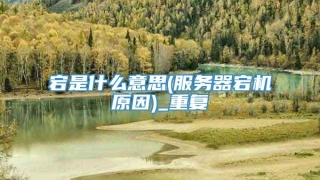 宕是什么意思(服务器宕机原因)_重复