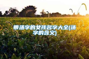 带汤字的女孩名字大全(汤字的含义)