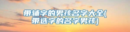 带辅字的男孩名字大全(带选字的名字男孩)