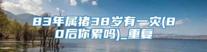 83年属猪38岁有一灾(80后你累吗)_重复