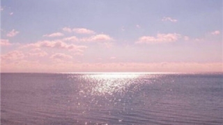 带财运的微信名字大全(微信财运好的头像)