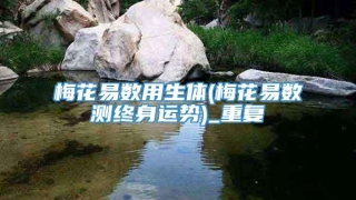 梅花易数用生体(梅花易数测终身运势)_重复