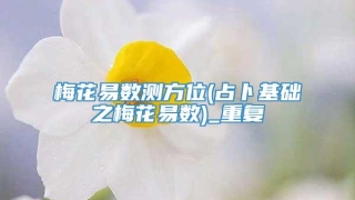 梅花易数测方位(占卜基础之梅花易数)_重复