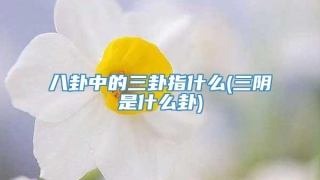 八卦中的三卦指什么(三阴是什么卦)