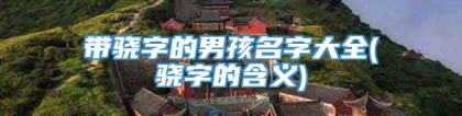带骁字的男孩名字大全(骁字的含义)