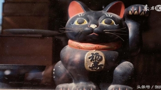 八字财星有根(身弱财多行旺运)