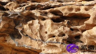 白蜡金命男戴什么好(白蜡金命配什么命好)