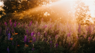 测试姓名打分 免费测试打分测试(宝宝名字打分免费测试)