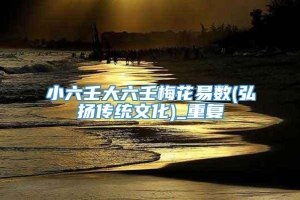 小六壬大六壬梅花易数(弘扬传统文化)_重复