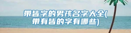 带皆字的男孩名字大全(带有皆的字有哪些)