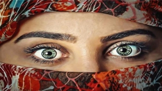 眉毛看相(看相眉毛)