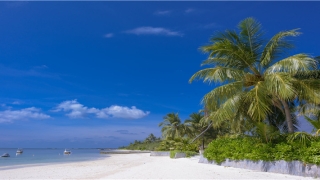 安财神位的正确方法(财神爷的位置你摆放对了吗)