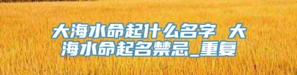 大海水命起什么名字 大海水命起名禁忌_重复