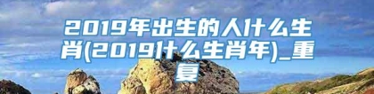 2019年出生的人什么生肖(2019什么生肖年)_重复