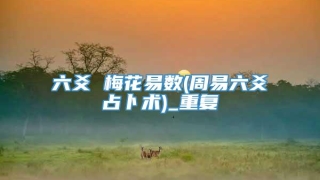 六爻 梅花易数(周易六爻占卜术)_重复