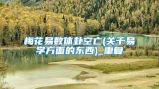 梅花易数体卦空亡(关于易学方面的东西)_重复