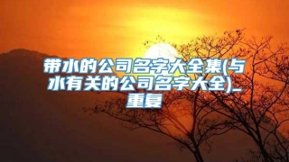 带水的公司名字大全集(与水有关的公司名字大全)_重复