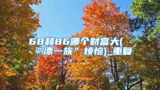 68和86哪个财富大(“漂一族”烦恼)_重复