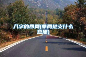 八字的命局(命局地支什么意思)