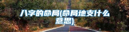八字的命局(命局地支什么意思)