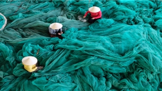 按姓名笔画测字算命(大师教你易经测字秘术)