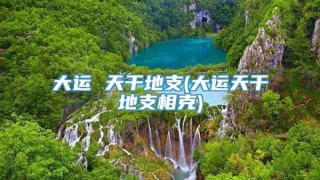 大运 天干地支(大运天干地支相克)