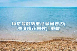 梅花易数测电话号码吉凶(邵雍梅花易数)_重复