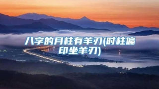 八字的月柱有羊刃(时柱偏印坐羊刃)