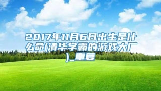 2017年11月6日出生是什么命(清华学霸的游戏大厂)_重复