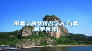 带葶字的女孩名字大全(葶名字含义)