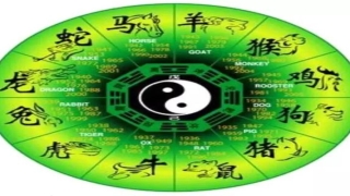 财爻代表什么(六爻世爻和应爻)