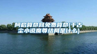 阿启算命网免费算命(千古玦尘小说魔尊结局是什么)