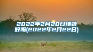 2022年2月20日结婚好吗(2022年2月22日)