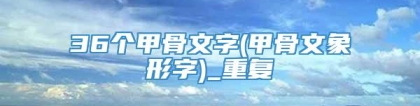 36个甲骨文字(甲骨文象形字)_重复