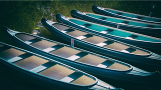 带佳字的女孩高雅名字(名字带佳字寓意)