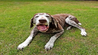 瓷都起名网免费取名打分(瓷都起名网算命)