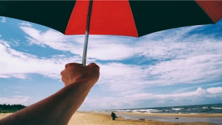 对婚姻的理解和感悟(婚姻能不能幸福)