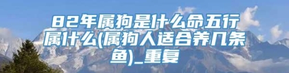 82年属狗是什么命五行属什么(属狗人适合养几条鱼)_重复