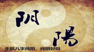 八字纯阳纯阴的概率(八字纯阳纯阴之人拥有仙体)