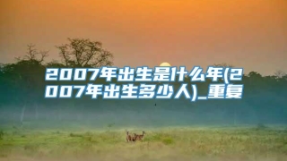 2007年出生是什么年(2007年出生多少人)_重复