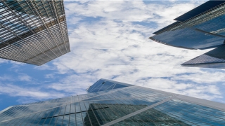 瓷都取名网靠谱吗(瓷都免费起名测名网)