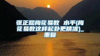 张正熙梅花易数 水平(梅花易数这样起卦更精准)_重复