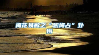 梅花易数之“观梅占”卦例