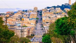 白天梦见蛇是什么预兆(白天梦见蛇是什么预兆,而且还跟他玩)