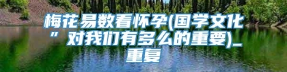 梅花易数看怀孕(国学文化”对我们有多么的重要)_重复